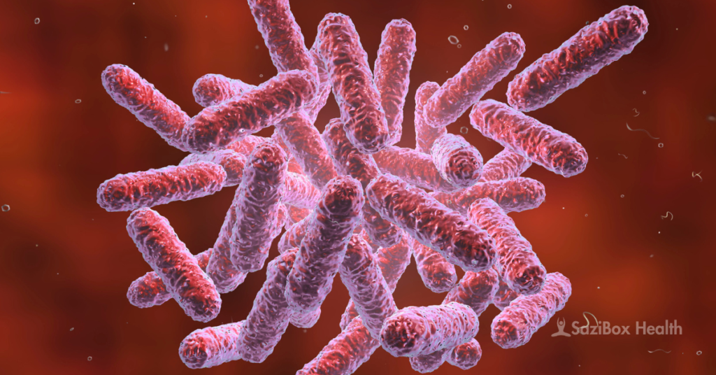 Microscopic view of antibiotic-resistant bacteria with a red background, representing a global health crisis.