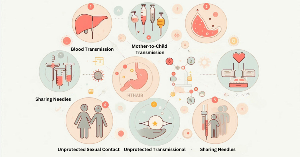 Infographic showing Hepatitis B transmission via blood, needles, and other bodily fluids.