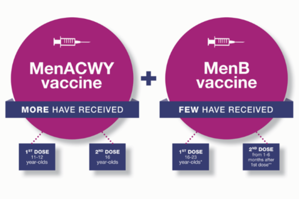 Chart showing MenACWY and MenB vaccines with recommended ages and covered bacterial strains.