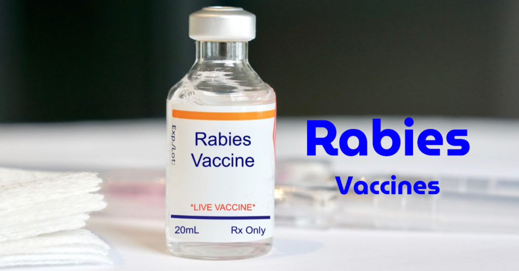 Rabies vaccine bottle labeled 'Live Vaccine,' symbolizing its critical role in preventing rabies after animal bites.