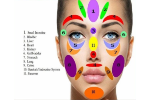 Facial mapping diagram showing areas of the face linked to internal organs and hormonal imbalances, explaining the causes of hormonal acne in women