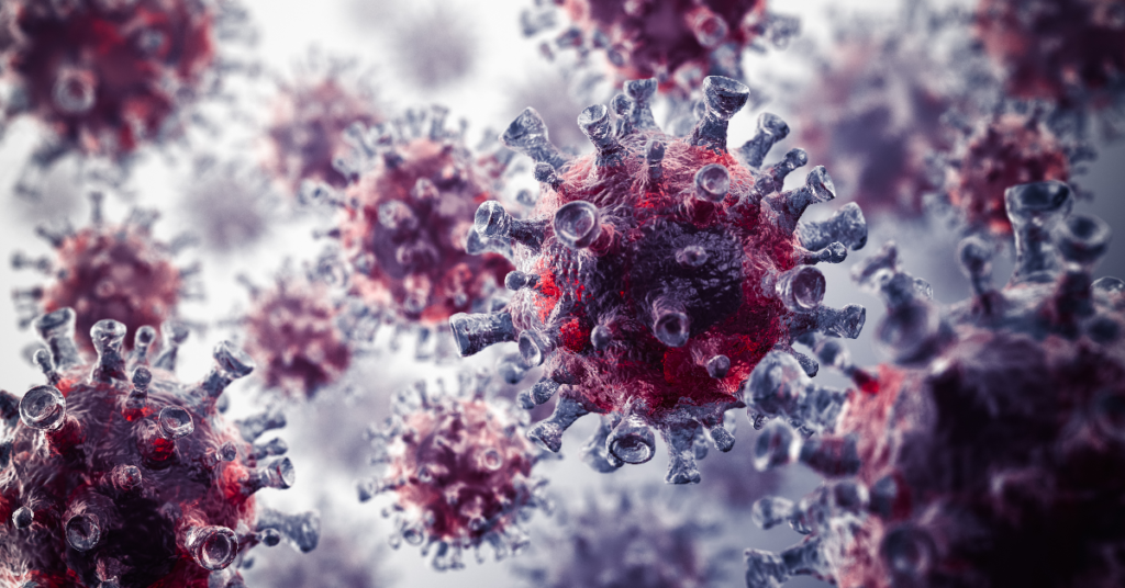 Detailed microscopic view of dense rhinovirus and HMPV particles, representing respiratory virus infections.